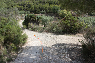 ALBINYANA - ERMITA SANT ANTONI - PUIG DE SANT ANTONI, Camí d'Escansa