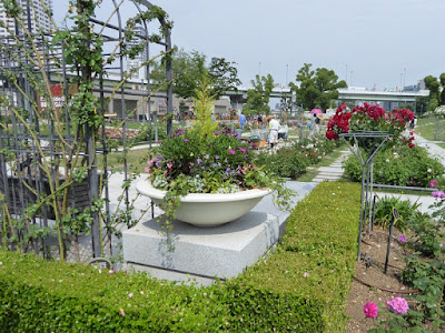 中之島公園のバラ園