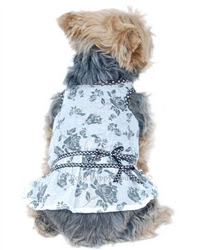 designer dog clothes