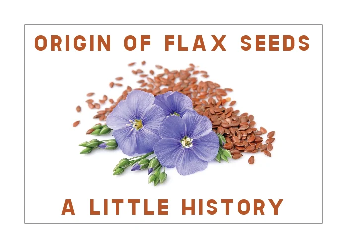 origin of flax seeds for weight loss,
