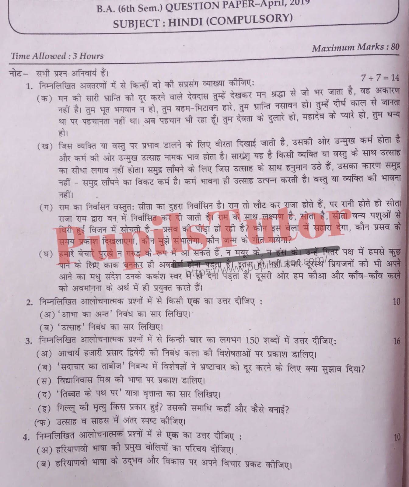 CDLU (Chaudhary Devi Lal University, Sirsa Haryana) BA Semester Exam Sixth Semester Previous Year Hindi Question Paper For April, 2019 Exam (Question Paper Page 1) - pupilstutor.com