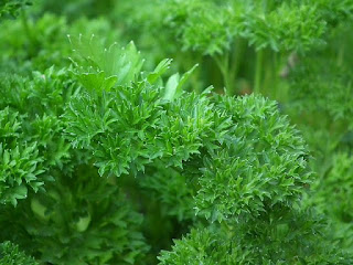 Natural ways to lighten dark spots, parsley leaves images