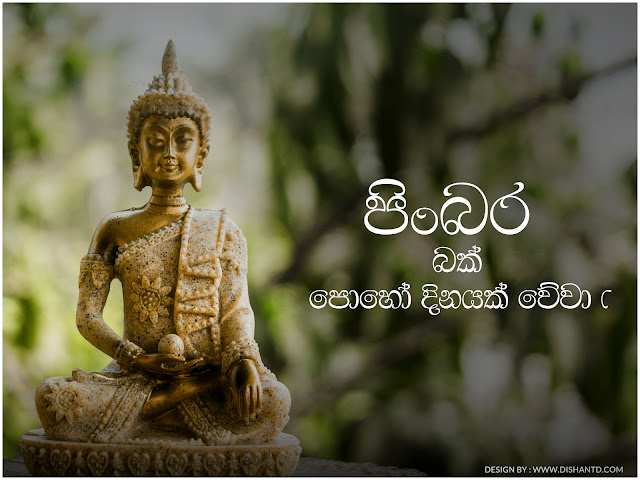 bak Poya day - පිංබර බක් පොහෝ දිනයක් වේවා !