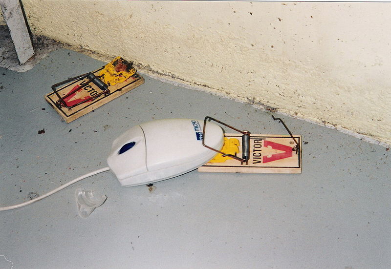 Mouse Trap Car. own personal experience,