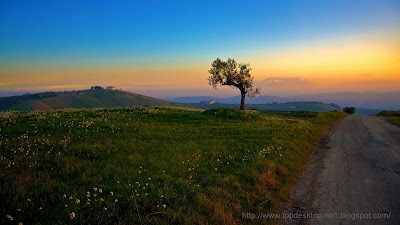 Top Desktop Beautiful Sunset with Clear Weather 