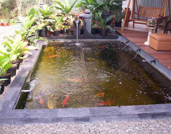 40 Gambar Kolam  Ikan  Minimalis Kolam  Ikan  Koi Kolam  Ikan  