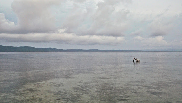 man bathing his horse at sea, San Antonio Island Northern Samar