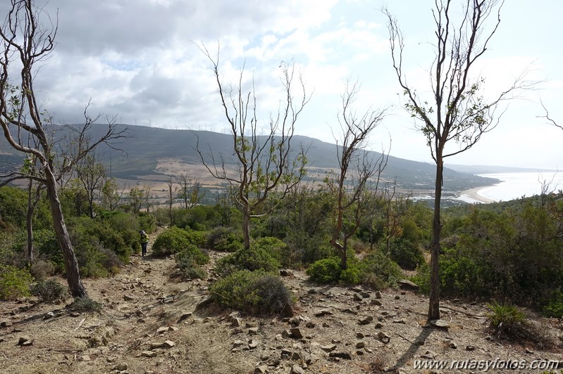 Los Algarbes - Betijuelo - San Bartolomé - Punta Paloma - Duna de Valdevaqueros