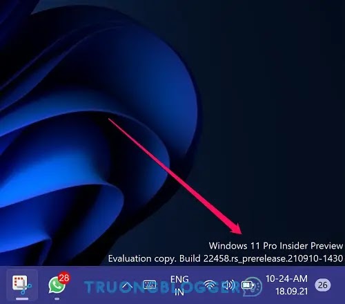 Cách xóa dòng chữ Windows 11 Insider Preview trên màn hình