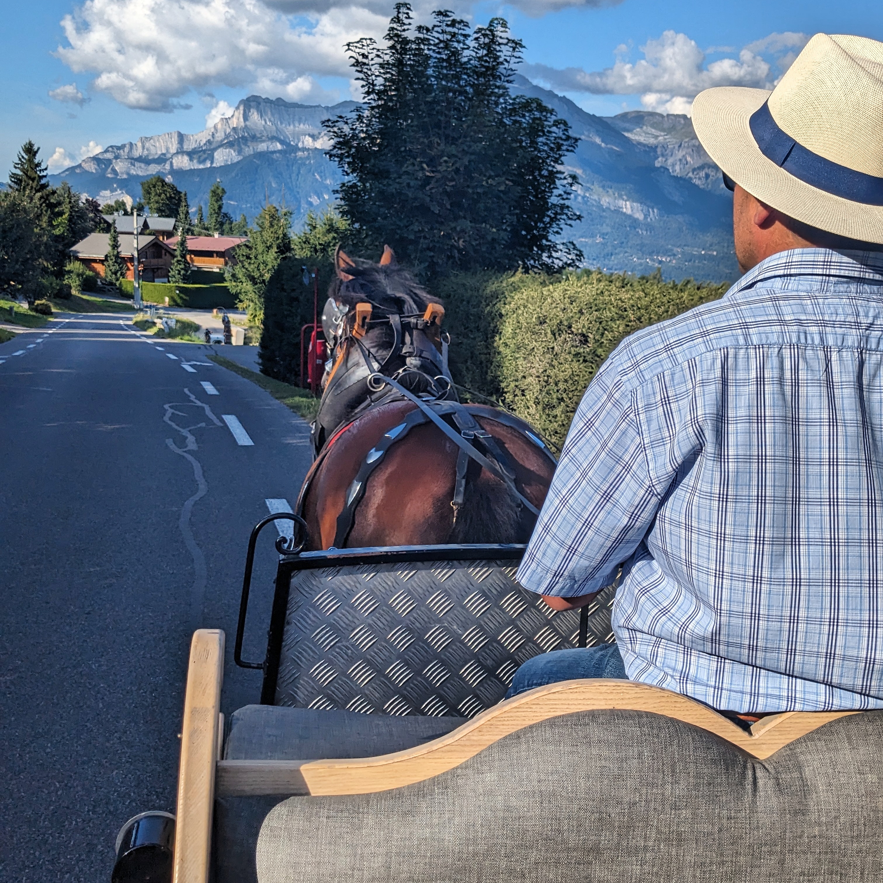A view of a road in the French Alps taken from a horse drawn carriage near the commune of megeve