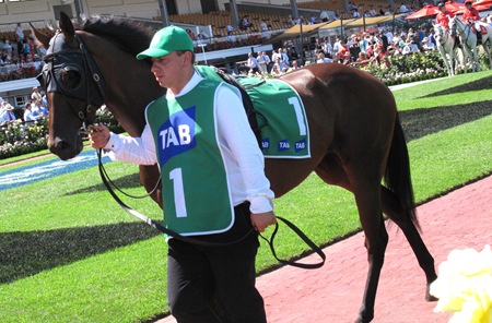 race5_norzita2