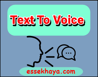 Text To Voice