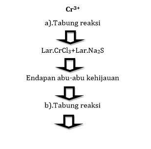 analisis kualitatif kation - our akuntansi