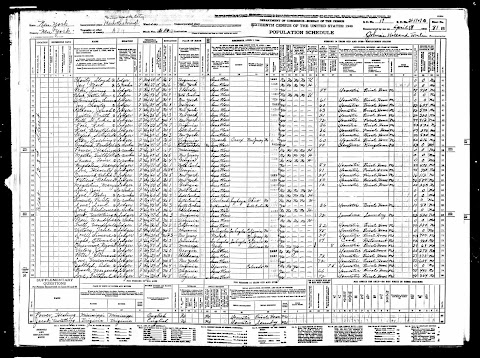 Lara's Jewnealogy: Funniest Census Record Ever