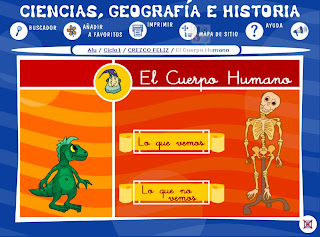 el cuerpo humano