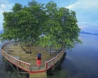 Pantai Dewi Mandapa: Pesona Eksotis dengan Hutan Bakau yang Menakjubkan di Pesawaran