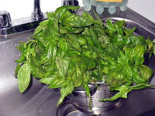 Washed basil