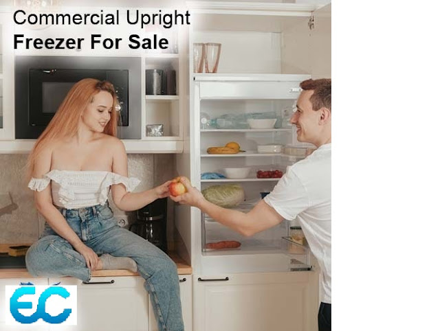 Best Sale Commercial Upright Freezer