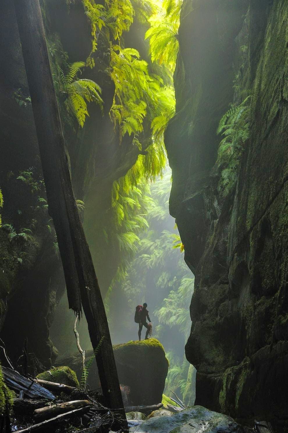 Claustral Canyon in the Blue Mountains  Australia