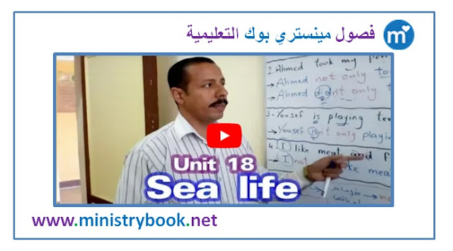 شرح الوحدة 18 لغة انجليزية للصف الثالث الاعدادي ترم ثاني 2019-2020-2021-2022-2023-2024-2025