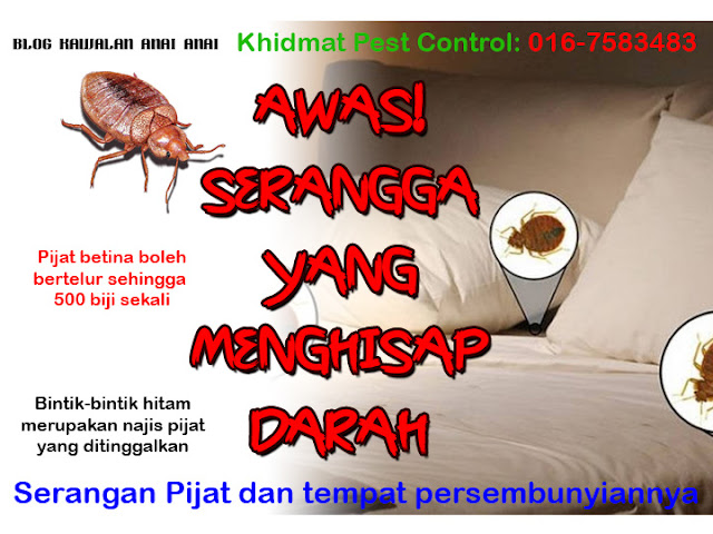 Awas Serangga Yang Menghisap Darah