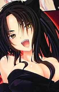 10 Karakter Paling Seksi di High School DxD