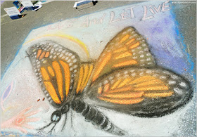 Mariposa Chalk on the Walk en la MayFair 2016