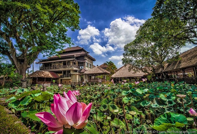 10 Places You Shouldn't Miss in Indonesia | Ubud, Indonesia.