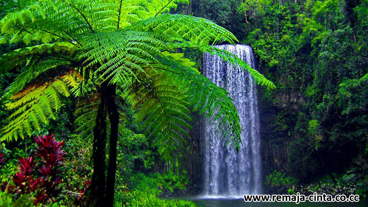  FOTO FOTO PEMANDANGAN ALAM Hamdanie Arham