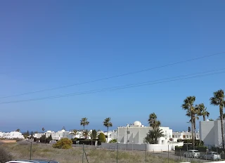 the clear blue skies and palm trees waving in the breeze, the view from my back window!