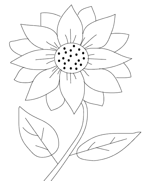 Free Coloring Pages Printable: Sunflower Coloring Pages 