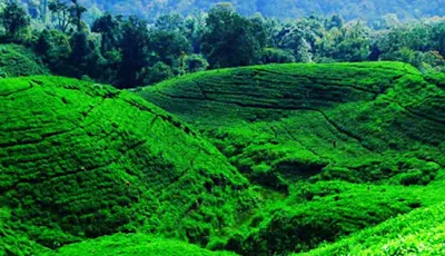 TEMPAT WISATA PALING POPULER DI  NGAWI 