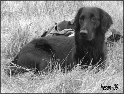 2009_1107Blandat0040