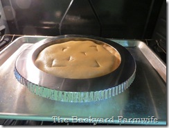 Apple Raisin Pie - The Backyard Farmwife