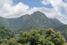 Les pitons du Carbet à proximité de Fonds-Saint-Denis