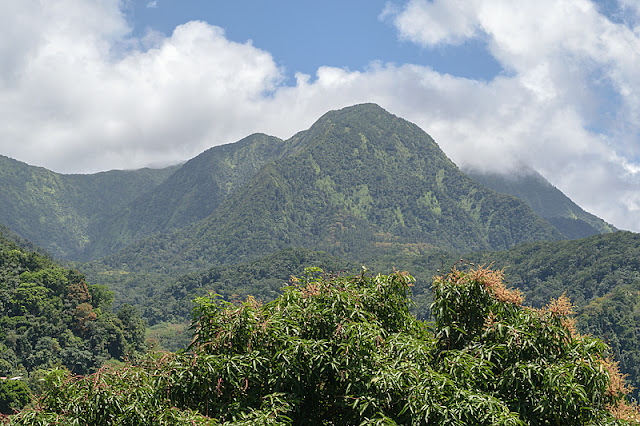 Les pitons du Carbet à proximité de Fonds-Saint-Denis