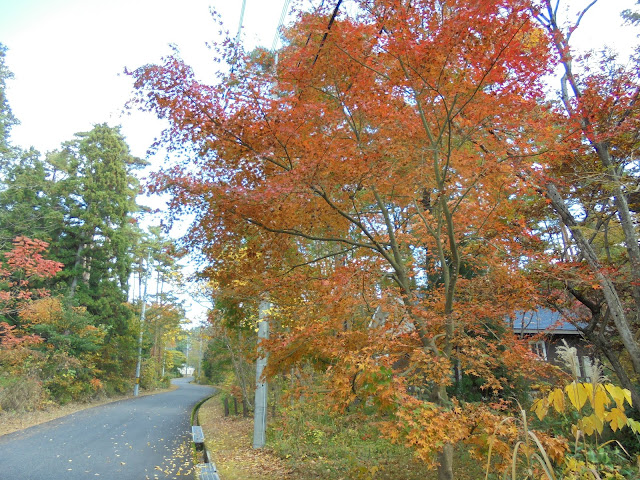 別荘地の紅葉