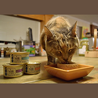 I and Love and You Cat Food review