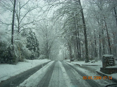 Atlanta Georgia Snow BBS RS