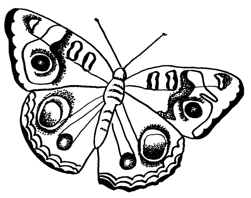 free coloring pages of flowers and butterflies. Butterfly coloring pages above
