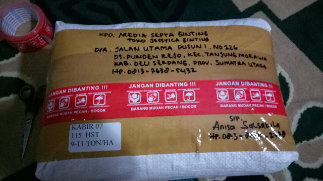 Testimoni Pengiriman Benih Padi Kabir 07 - 115 Hari