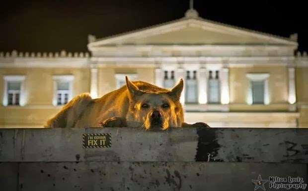 Ο "Μπελογιάννης" από την ανάποδη