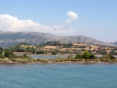 IMG_8655