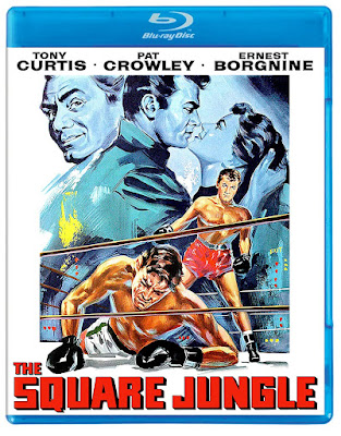 The Square Jungle 1955 Bluray