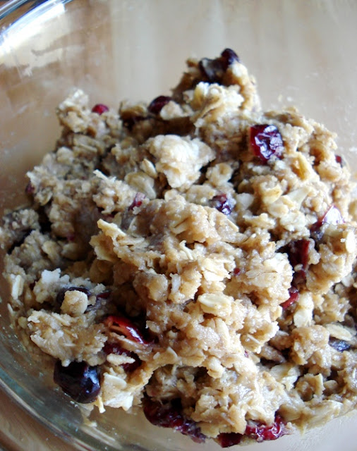 bread machine oatmeal cookie dough