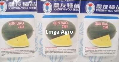 Semangka Kuning, Semangka Inul Kuning, Sun Bao, Semangka Inul Kuning Sun Bao, Known You Seed, Pertanian, Toko Pertanian, Toko Pertanian Terdekat, Lmga Agro, Buah Semangka, Manfaat Buah Semangka