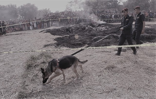 झापाको बिर्तामोडमा हत्या गरी जलाएको अवस्थामा शव फेला