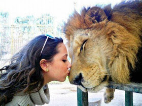 a woman kisses a lion, funny animal pictures of the week