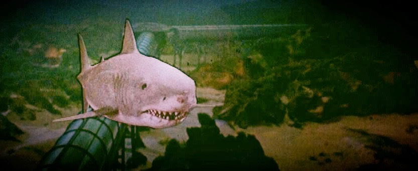 cult film freak: DUTIFULLY DEFENDING THE DEADLY DISASTER OF 'JAWS 3D