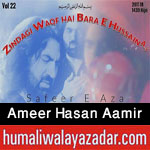 http://www.humaliwalayazadar.com/2012/12/ameer-hasan-aamir-nohay-2001-2013.html